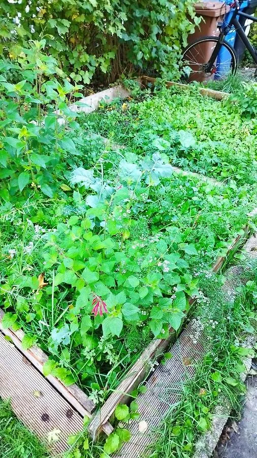 ホテル Atelier & Gardenhouse Glamping ミュンヘン ドイツ