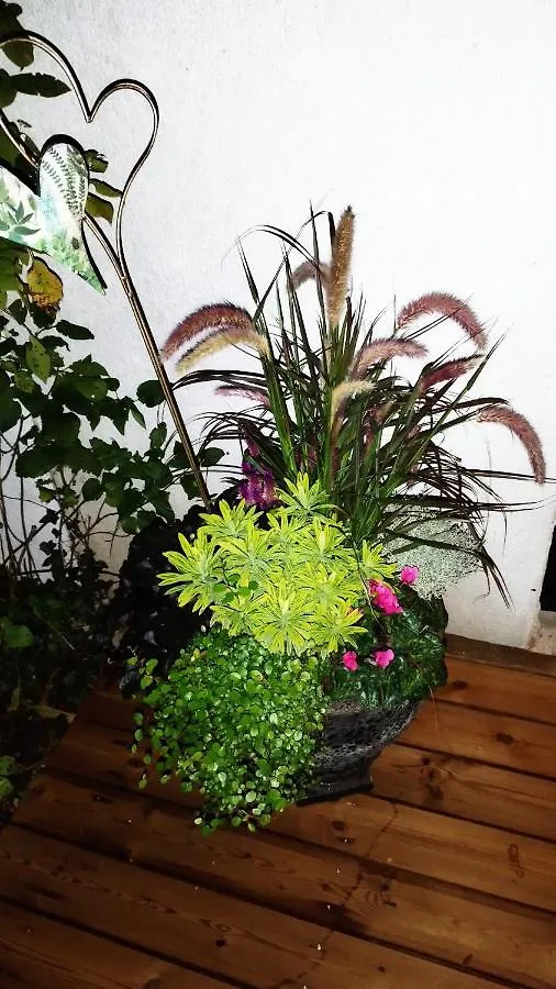 Hotel Atelier & Gardenhouse Glamping Múnich 0*,